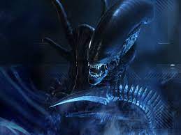 If you are not into those than leave. Female Xenomorph X Male Reader Lemon 1024x768 Download Hd Wallpaper Wallpapertip