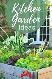 Backyard Kitchen Garden Ideas The