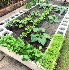 Useful Diy Vegetable Gardens