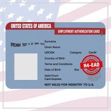 Passport book, the passport card is only issued to u.s. Effect Of Biden Policy On H4 Ead Rule Removal Things You Should Know Ustun Law Group Pllc
