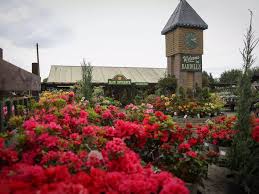 seven top rated garden centres to visit