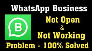 whatsapp business not working top 8