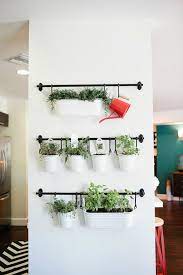 ikea hanging herbs home decorating