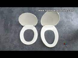 Toilet Seat Replacement