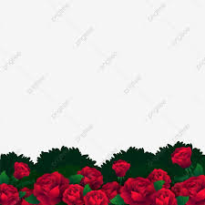 Red Roses Garden Red Rose Flower