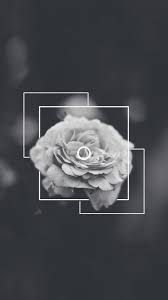 Black And White Rose Aesthetic ...