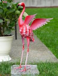 34 Pink Flying Baby Flamingo Bird