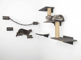 Cat Shelves Cat Tower Cat Wall