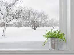 Winter Gardening Indoors How To Grow