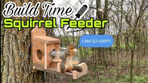 how to build a squirrel feeder jerry