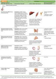 The Endocrine System Things For School Endocrine System