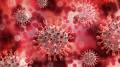 symptomes coronavirus from www.maxisciences.com