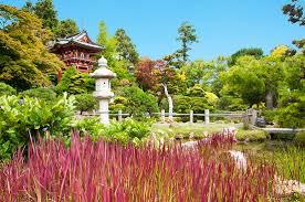 authentic anese tea garden