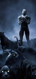 top 30 best black panther wallpapers