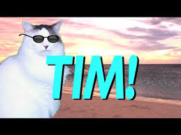Happy Birthday Tim Epic Cat Happy Birthday Song