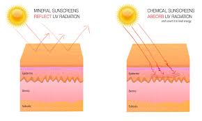 chemical and mineral sunscreens