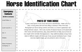 Horse Identification Records And Templates