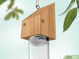 how to build a carpenter bee trap with