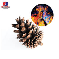 Flame Color Changing Pine Cones