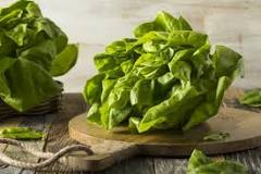 what-is-butter-lettuce-made-out-of