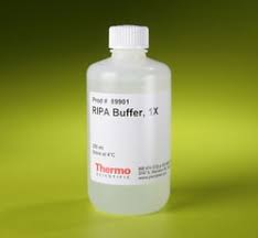 ripa lysis and extraction buffer 250ml