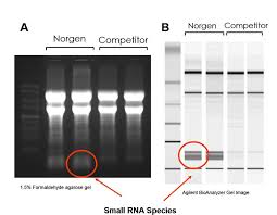 superior rna purification with silicon