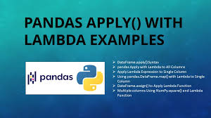 pandas apply with lambda exles