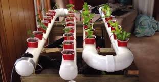 diy pvc gardening ideas and projects