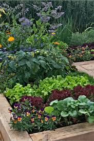 Patio Vegetable Garden With Planters