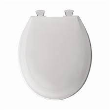 Change Hinge White Plastic Toilet Seat