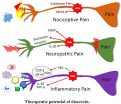diacerein in management of pain