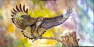 Raptor The Hawk Bird Of Prey Painting