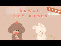 aesthetic kawaii pet names ʕ ᴥ ʔ