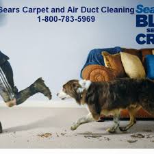 carpet cleaning in graham county