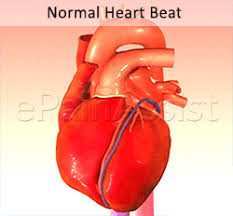 fastest heart beat gif images