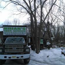 Let tom's river tree service improve your property with their expert arborists. Tree Service About Us Toms River Nj