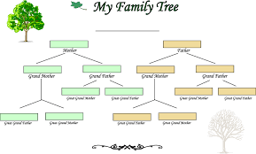 4 Generation Family Tree Barca Fontanacountryinn Com
