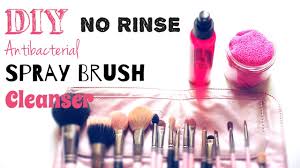 diy brush spray cleanser no rinse