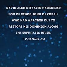 david also defeated hadadezer son