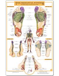 The Chakra System Foot Chart Balancing Touch Reflexology