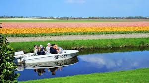 Book your tickets & tours of keukenhof at best price only on distance from amsterdam airport: Keukenhof Flower Garden Nahe Amsterdam Amsterdam Info
