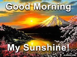 Wishing you an amazing sunday! My Sunshine Good Morning