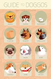 Use This Chart Avoid Bamboozles Cute Animals Dog Memes