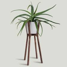The green leaves provide relaxing and fresh ambience throughout the room. These 13 Modern Plant Stands Put Your Favorite Plants On Display
