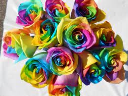 rainbow blue or black roses specify