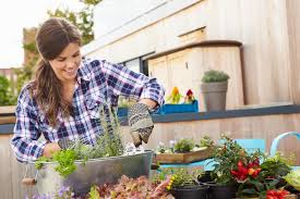 Advantages Of Rooftop Gardening
