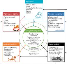 typology for earth s ecosystems