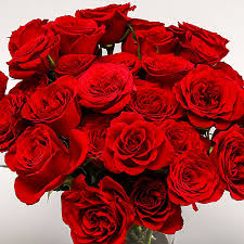 send romantic love roses vase