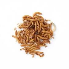 bag of dried mealworms 1kg birdfood
