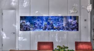 Custom Aquariums Aquarium Design